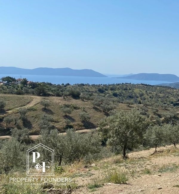 (For Sale) Land Agricultural Land  || Argolida/Ermioni - 13.963 Sq.m, 140.000€ 